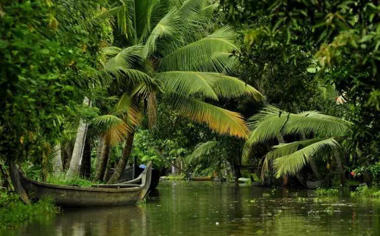  Why Every South Indian Business Needs a YouTube Marketing Strategy